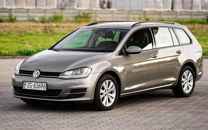 lubuskie Volkswagen Golf cena 28000 przebieg: 280000, rok produkcji 2016 z Iłowa